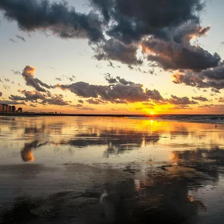 Apartment In Near & Casino Middelkerke